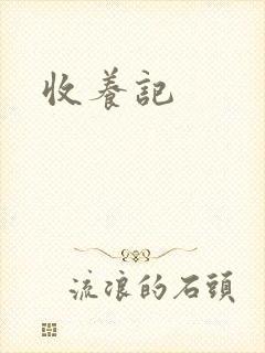 收养记