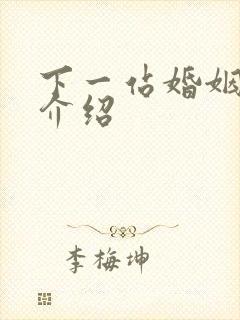 下一站婚姻剧情介绍