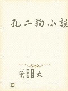 孔二狗小说