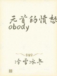 元首的愤怒之nobody
