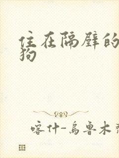 住在隔壁的小狼狗