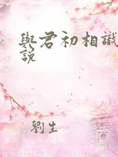 与君初相识 小说