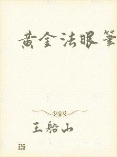 黄金法眼笔趣阁