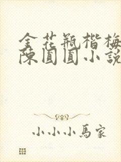 金花瓶楷梅花2陈圆圆小说