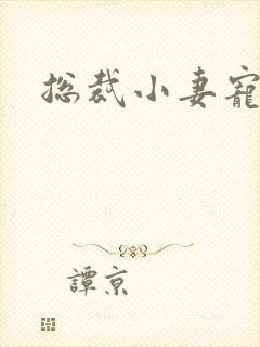 总裁小妻宠上天