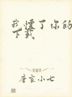 我怀了你的孩子下载