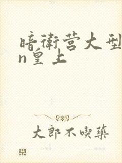 暗卫营大型hpn皇上