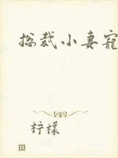 总裁小妻宠上天