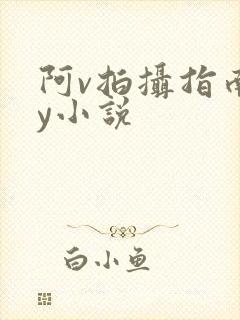 阿v拍摄指南by小说