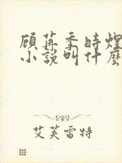 顾苒季时煜电竞小说叫什么名字