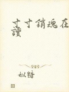 寸寸销魂在线阅读