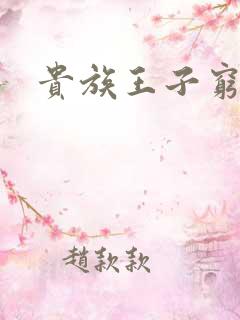 贵族王子穷公主