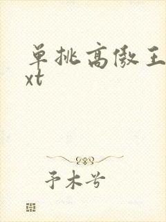 单挑高傲王子txt