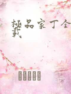 极品家丁全集下载