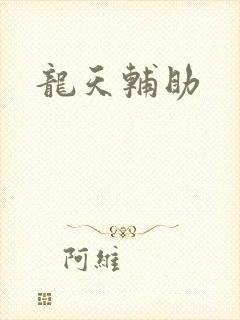 龙天辅助