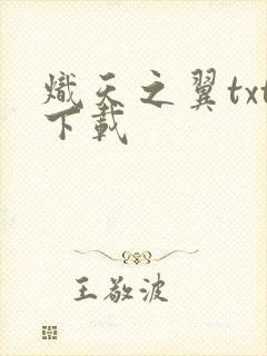 炽天之翼txt下载
