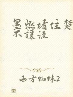 墨燃堵住楚晚宁不让流