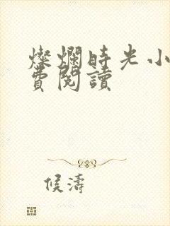 灿烂时光小说免费阅读