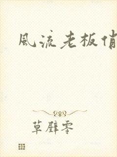 风流老板俏秘书