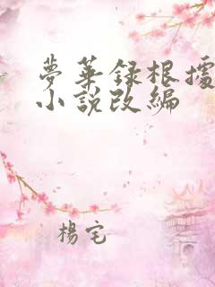 梦华录根据什么小说改编