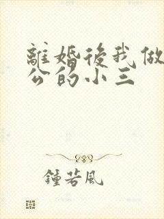 离婚后我做了老公的小三