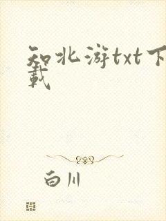 知北游txt下载
