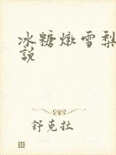 冰糖炖雪梨 小说