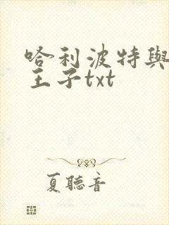 哈利波特与混血王子txt