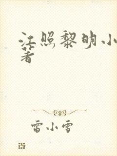 江照黎明小说原著