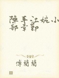 阵平江婉小说全部章节