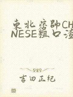 东北痞帅CHINESE粗口渣男