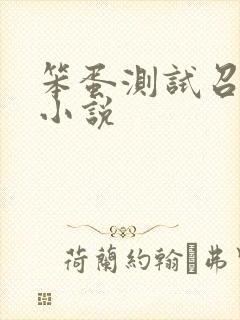 笨蛋测试召唤兽小说
