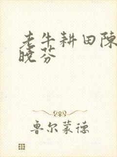 老牛耕田陈雪杨晓芬