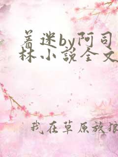 着迷by阿司匹林小说全文免费阅读