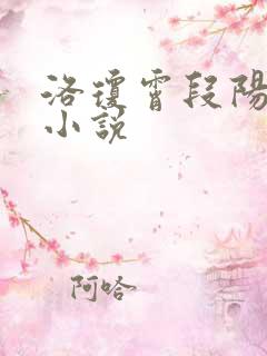 洛琼霄段阳澍的小说