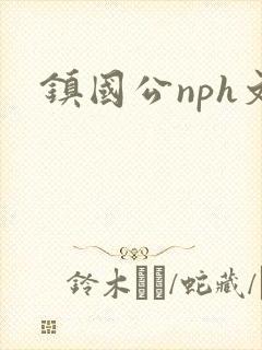 镇国公nph文