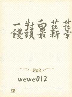 一对白花花的大馒头最新章节