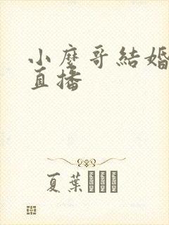 小么哥结婚视频直播