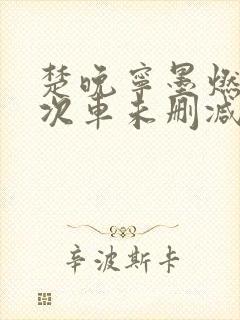 楚晚宁墨燃第一次车未删减