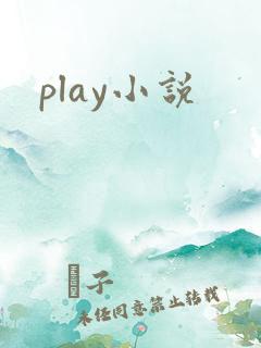 play小说