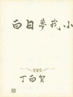 白日梦我小说