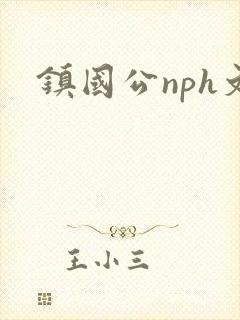 镇国公nph文