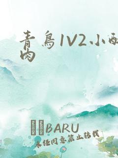 青鸟1V2小酥肉
