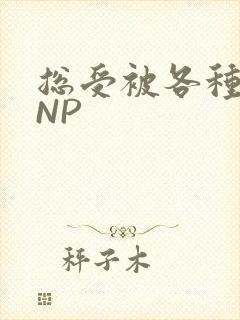 总受被各种姿势NP