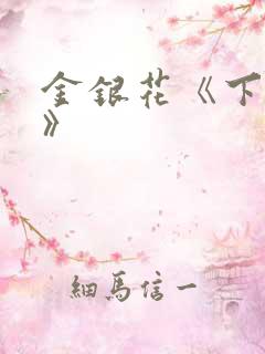 金银花《下厨房》