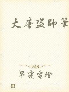 大唐盗帅笔趣阁