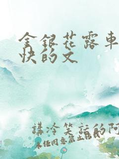 金银花露车速最快的文