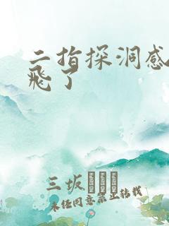 二指探洞感觉要飞了