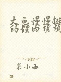 大龟慢慢挺进我的体内视频