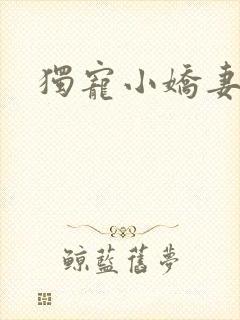 独宠小娇妻